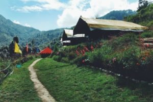 Camp O Royale