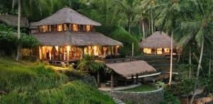 Jungle Brook Camp Resort