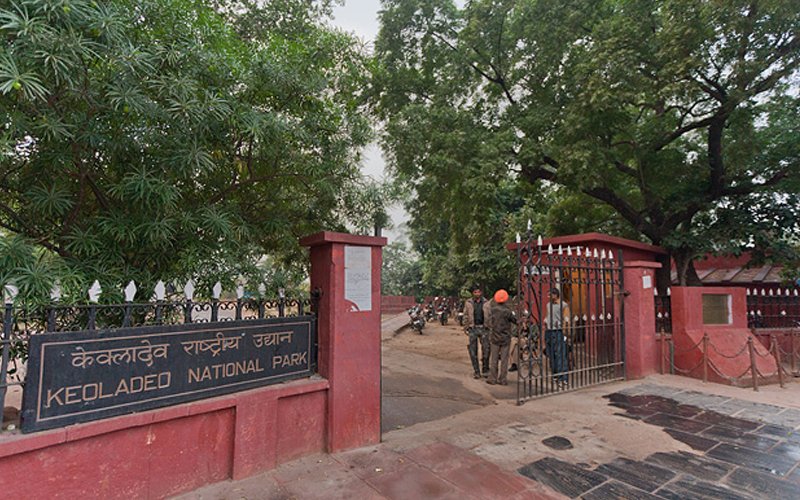 sitesieng in bharatpur