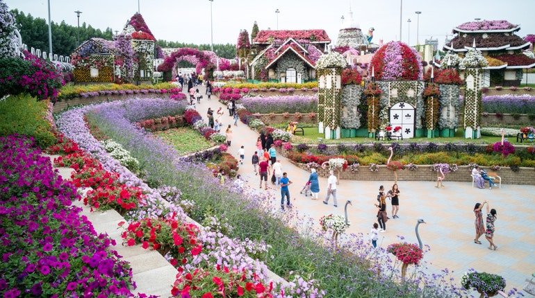 Dubai Miracle Garden