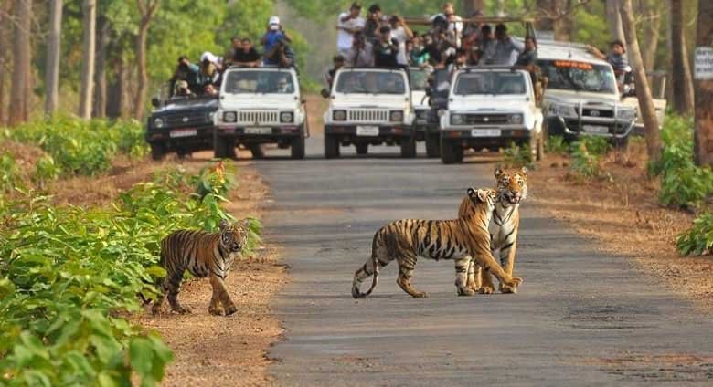 sariska weekend